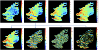 Multi-resolution wavelet kinetic features